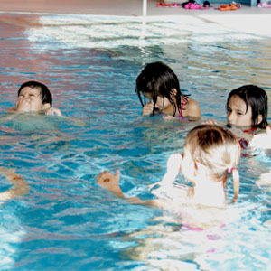 Ika 2010 HO